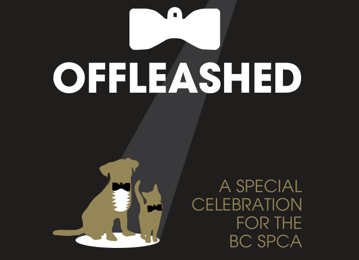 BCSPCA Offleashed Virtual Gala | Virtual Event | Proshow